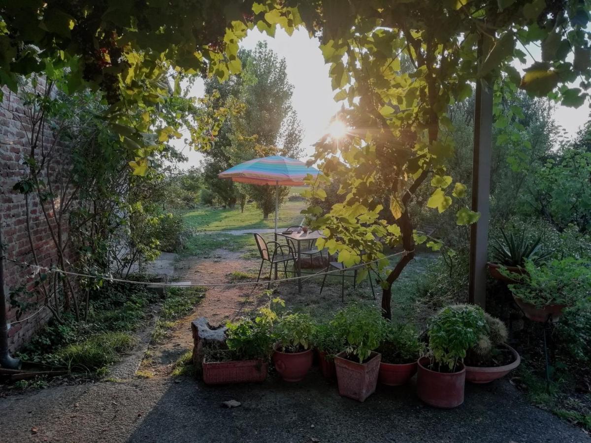 Casa Del Geco Bed and Breakfast Paestum Exteriör bild