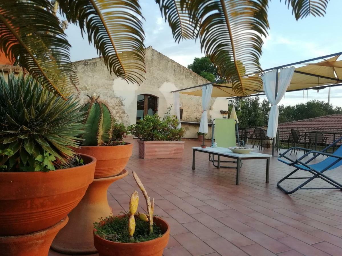 Casa Del Geco Bed and Breakfast Paestum Exteriör bild